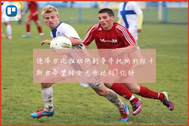 德泽尔比推动热刺争夺托纳利纽卡斯尔希望转会总价达到1亿镑